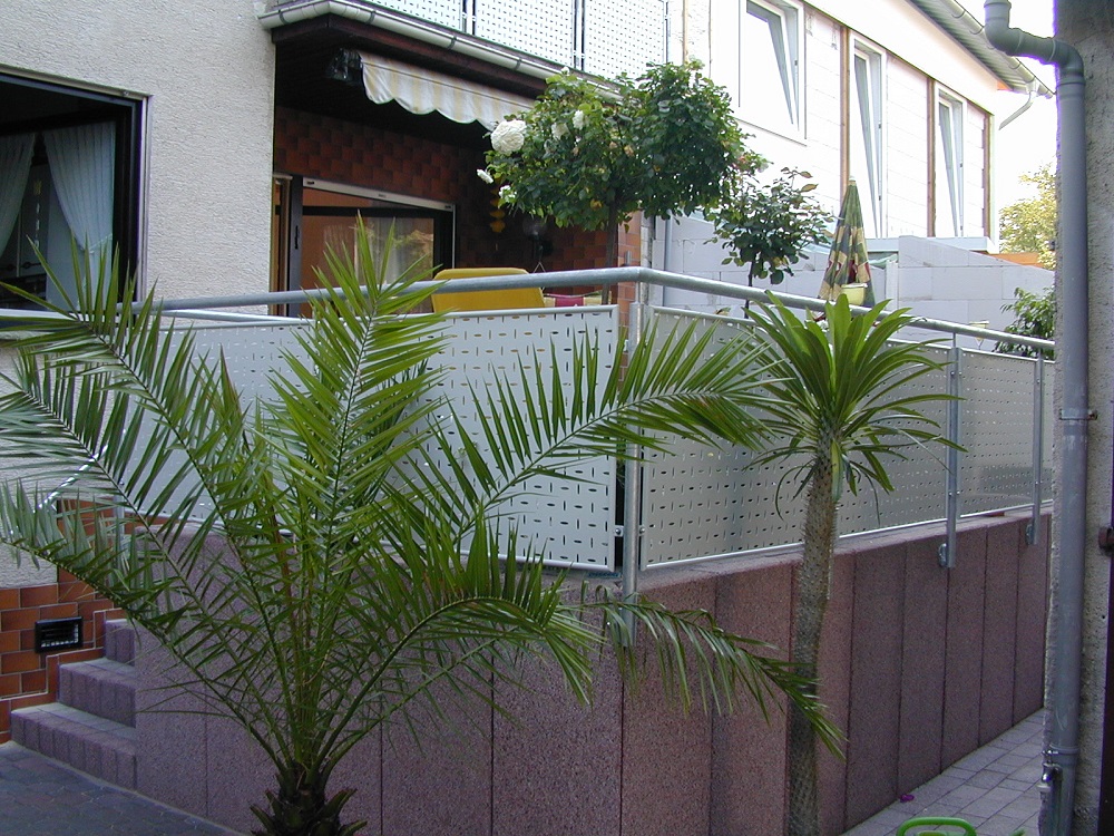 Wulf und Berger Büttelborn - Massanfertigungen - Balkonverkleidung am Haus mit Palme