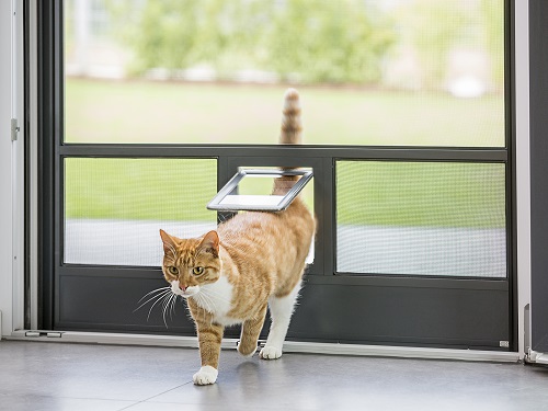 Wulf & Berger Insektenschutz von erfal - Katze läuft durch integrierte Katzenklappe
