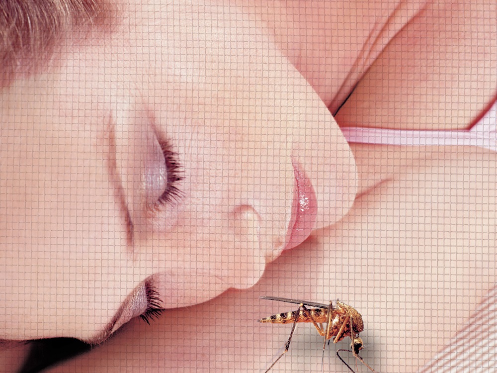 Wulf & Berger Insektenschutz von Neher - Stechmücke vor Gesicht einer Frau